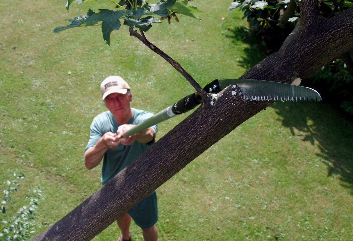 Man cutting tree with extendable saw in garden