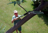 Man cutting tree with extendable saw in garden