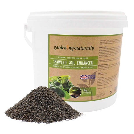 Seaweed soil enhancer in a 4kg tub with a pile of natural seaweed granules.