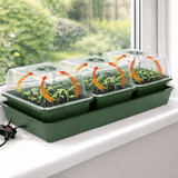 Green propagator seedling tray with transparent covers on a windowsill, showing small plants with 3 bays