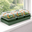 Green seedling propagator with transparent covers on a windowsill