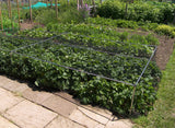 Fruit And Vegetable Cages 500mm High