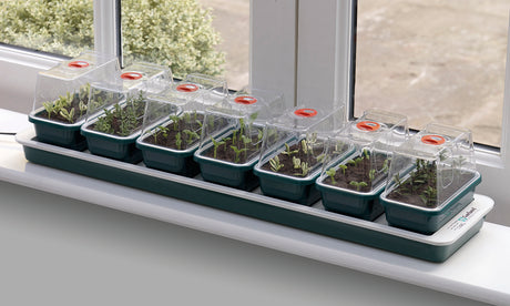 Super 7 Propagator in windowsil