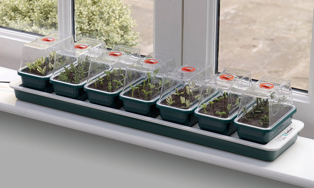 Super 7 Propagator in windowsil