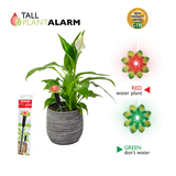 Tall plant alarm