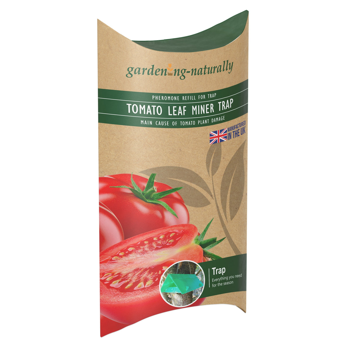 tomato leaf miner trap