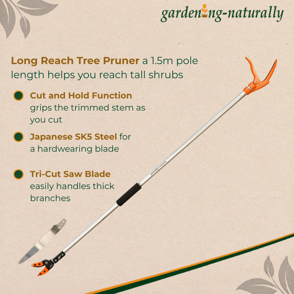 Infographic for a tree pruner on a cork background with information on the benefits