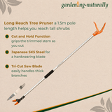 Infographic for a tree pruner on a cork background with information on the benefits