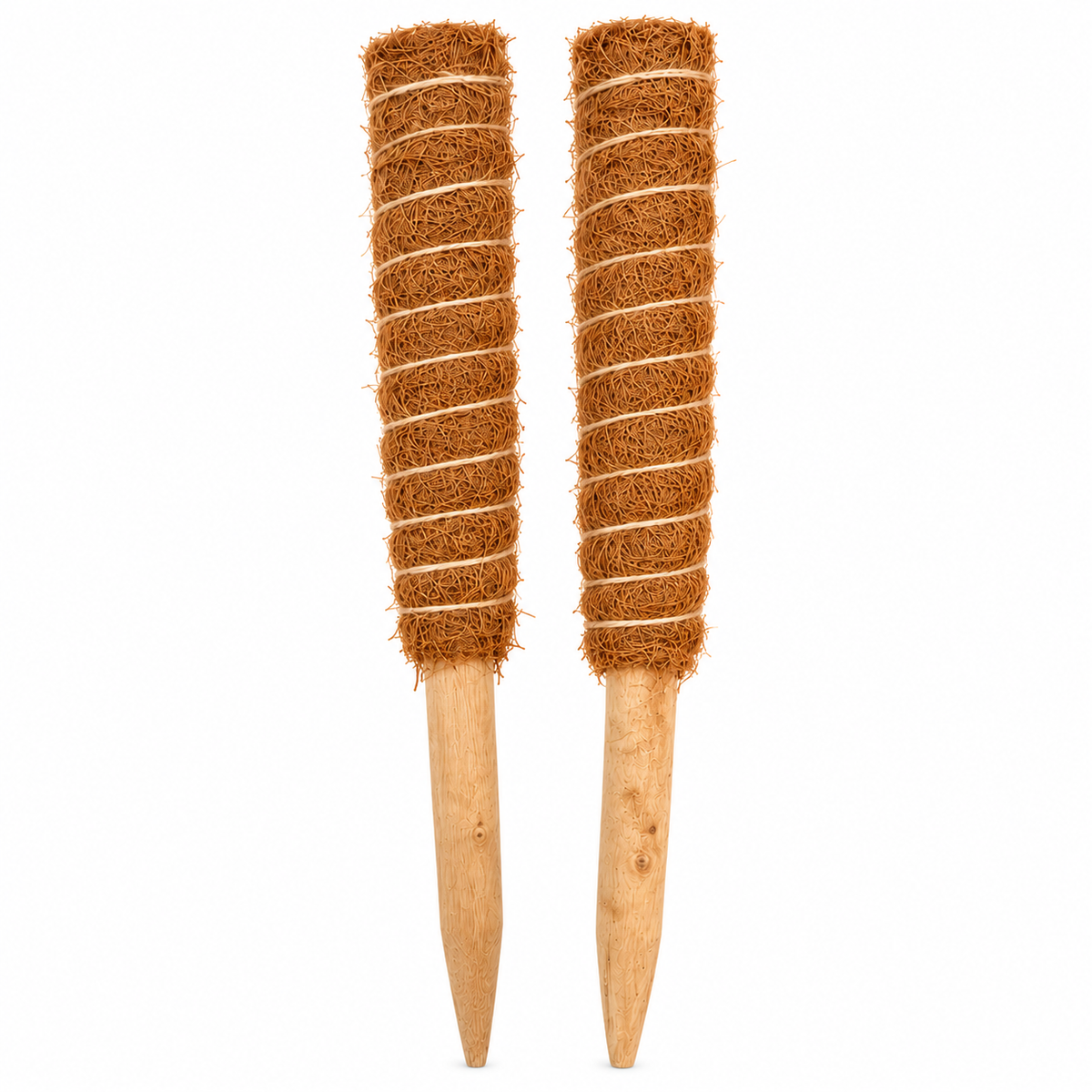 A coir coco fiber plant support pole placed on a  white background.