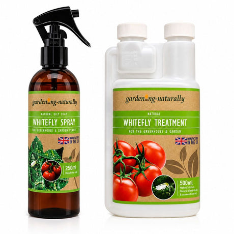 Whitefly Treatment - Natural