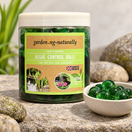 A jar of garden-ng-naturally Algae Control Balls placed on a stone surface next to a small bowl of green glass marbles, with rocks and a plant in the background.