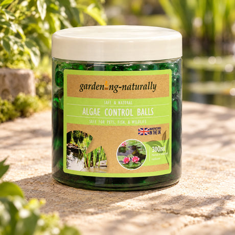 A jar of garden-ng-naturally Algae Control Balls placed on a stone surface outdoors with a blurred garden background. The product is a clear jar filled with dark green algae balls and has a white lid with a green and brown label.