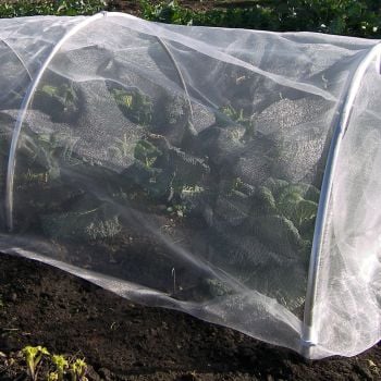 Round Hoops For Garden Tunnel Cloches