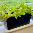 black aluzinc windowsill planter