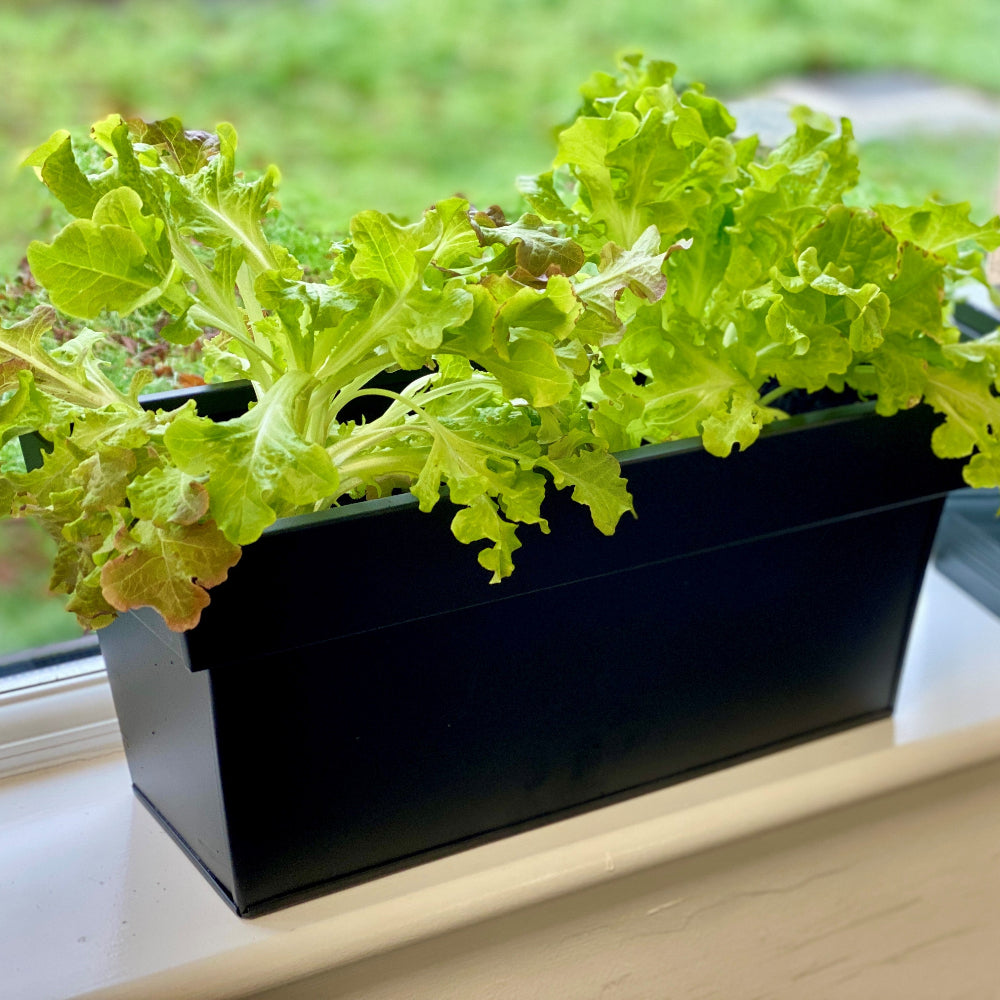 black aluzinc windowsill planter