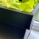 close up of windowsill planter