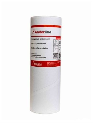 Spider Mite Control Anderline AA (Amblyseius andersoni) Tube of 25,000