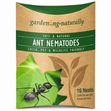 ant nematodes 16 nests