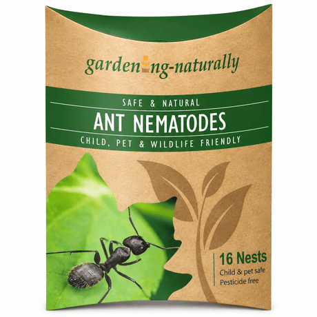 ant nematodes 16 nests