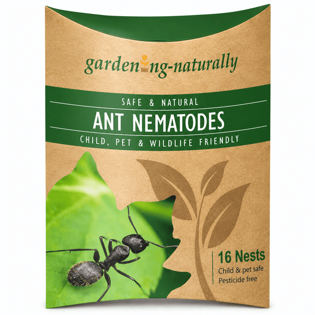 ant nematodes 16 nests