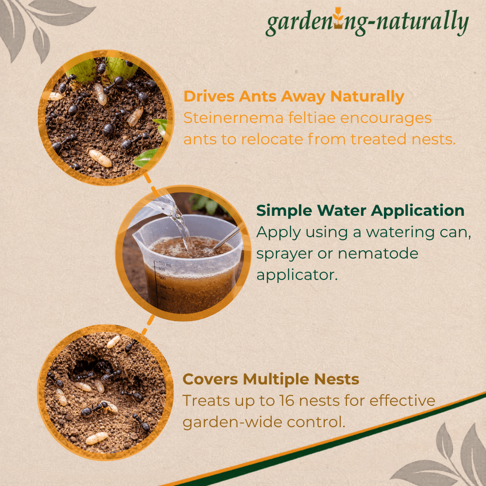 Gardening naturally product description with images of ants, water application, and treated nests.