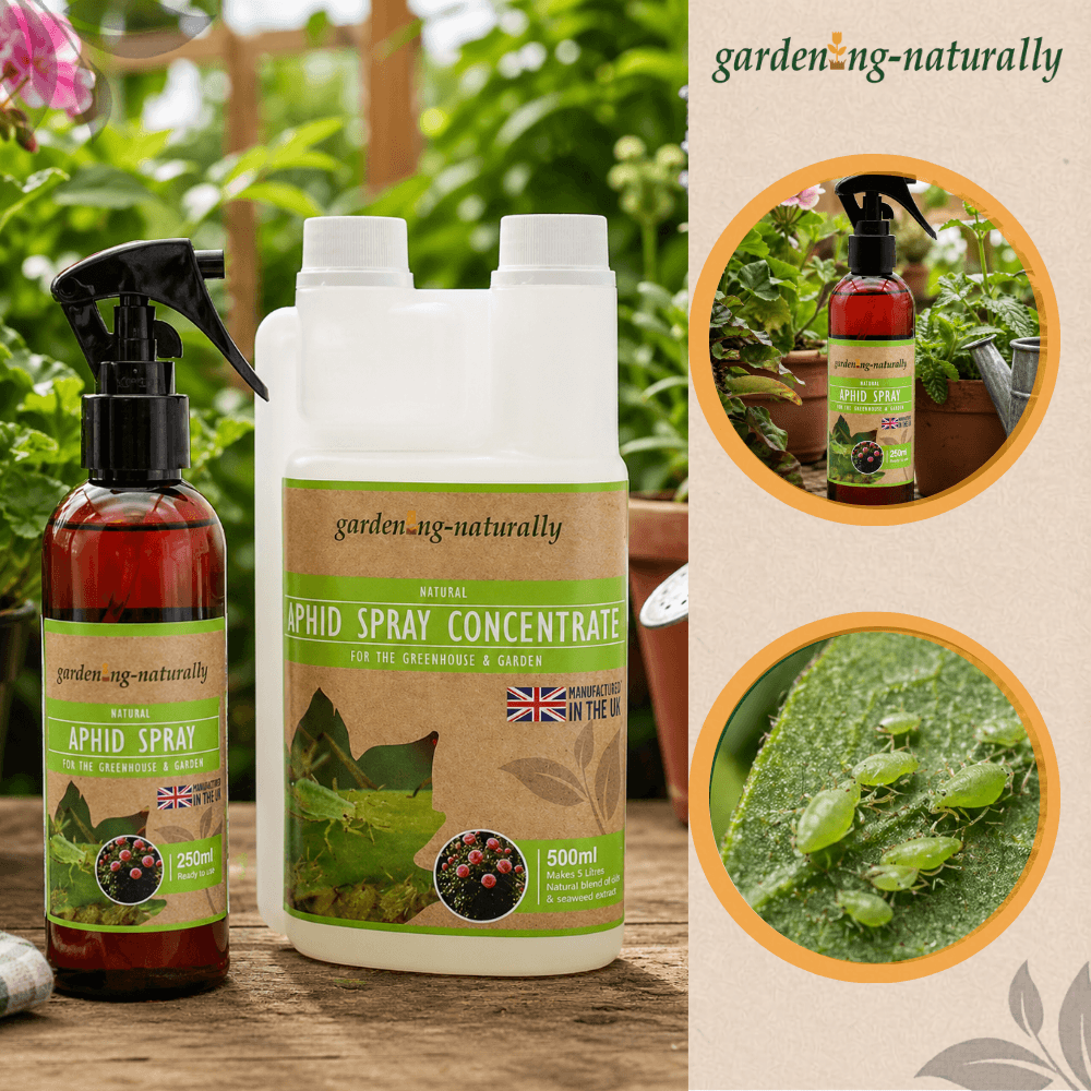 Gardening Naturally aphid spray and concentrate on a wooden surface with plants in the background.