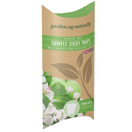 Apple Sawfly sticky traps