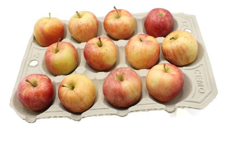 Apple Trays Biodegradable 12 Compartments