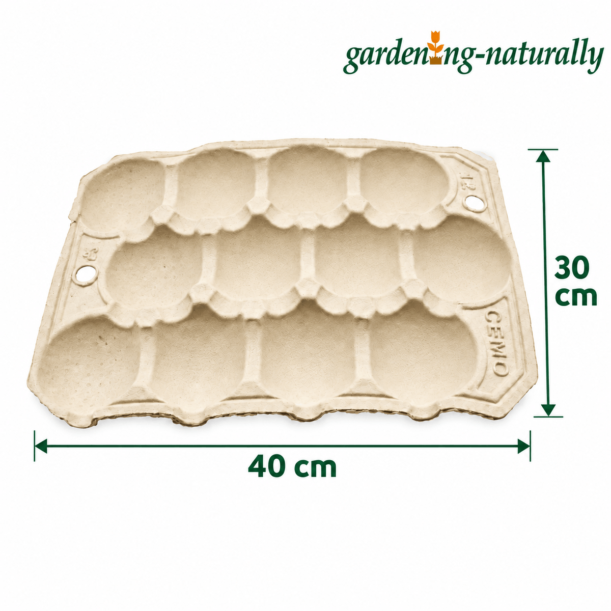 Apple tray showing dimensions of the  product
