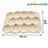 Apple tray showing dimensions of the  product