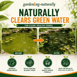 Barley Straw Extract Natural Pond Treatment