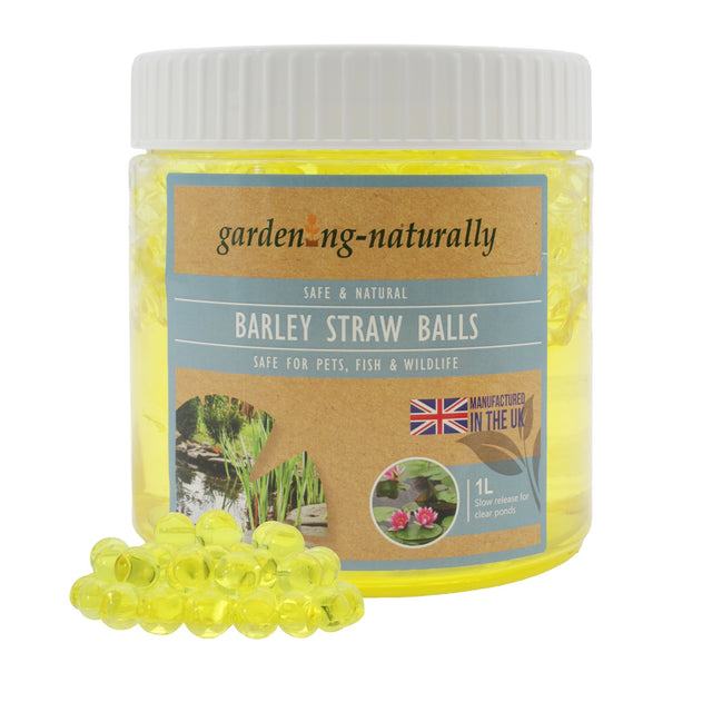 A 1L jar of Gardening naturally Barley Straw Balls for pets, fish, and wildlife, shown with several translucent yellow balls in front of the white-lidded container on a white background.