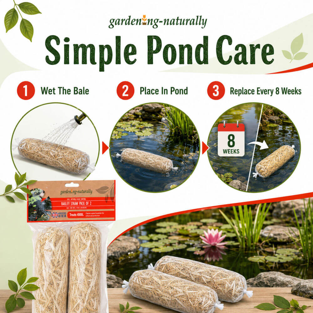 Gardening naturally Simple Pond Care kit showing three bamboo mulch bags, step-by-step pond application instructions, and a pond scene with the bags placed in water.