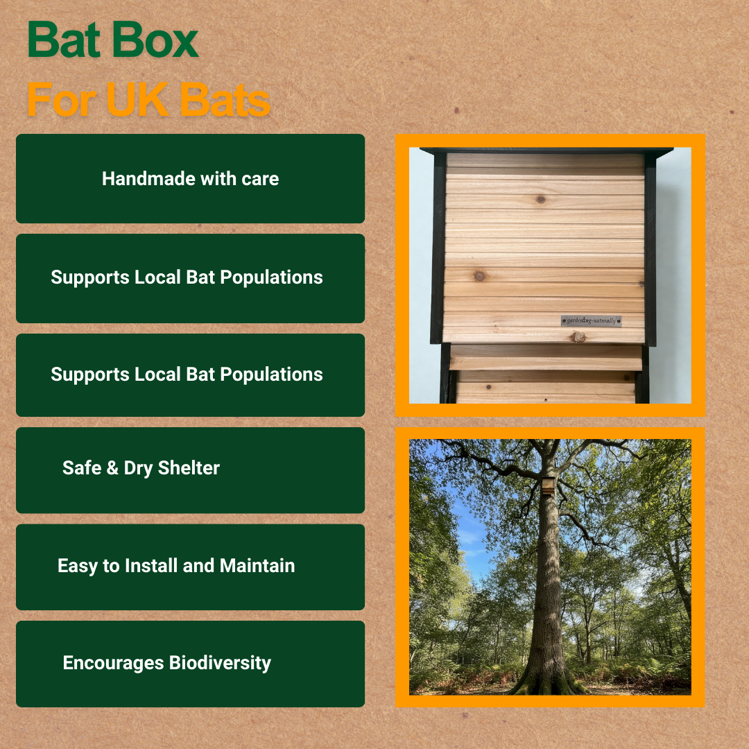 Bat box with features listed on a brown background