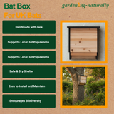 Benefits of a bat box