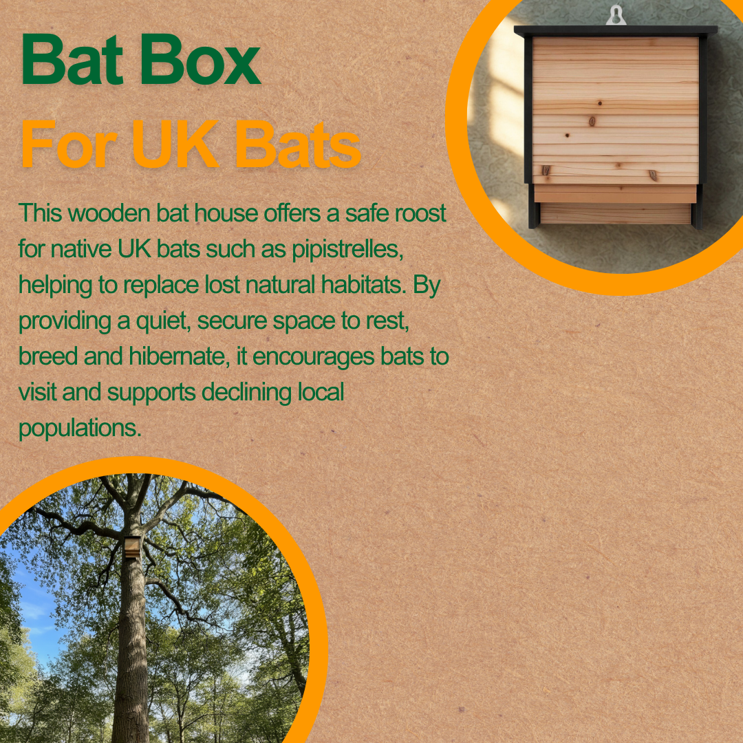 Information sheet for a bat box for UK bats with text and images of a bat box and trees.