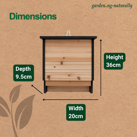 Dimensions diagram of the size of the bat box