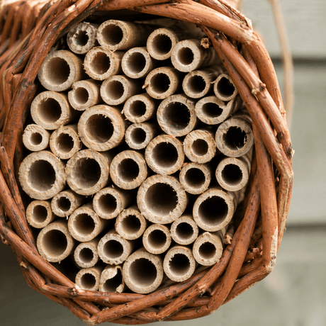 Bee hotel made of natural materials with wooden tubes.