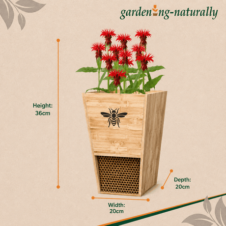 bee hotel planter dimensions