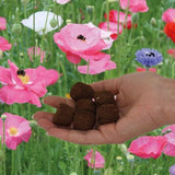 Wild flower seed bombs in a hand infront of a picture of garden