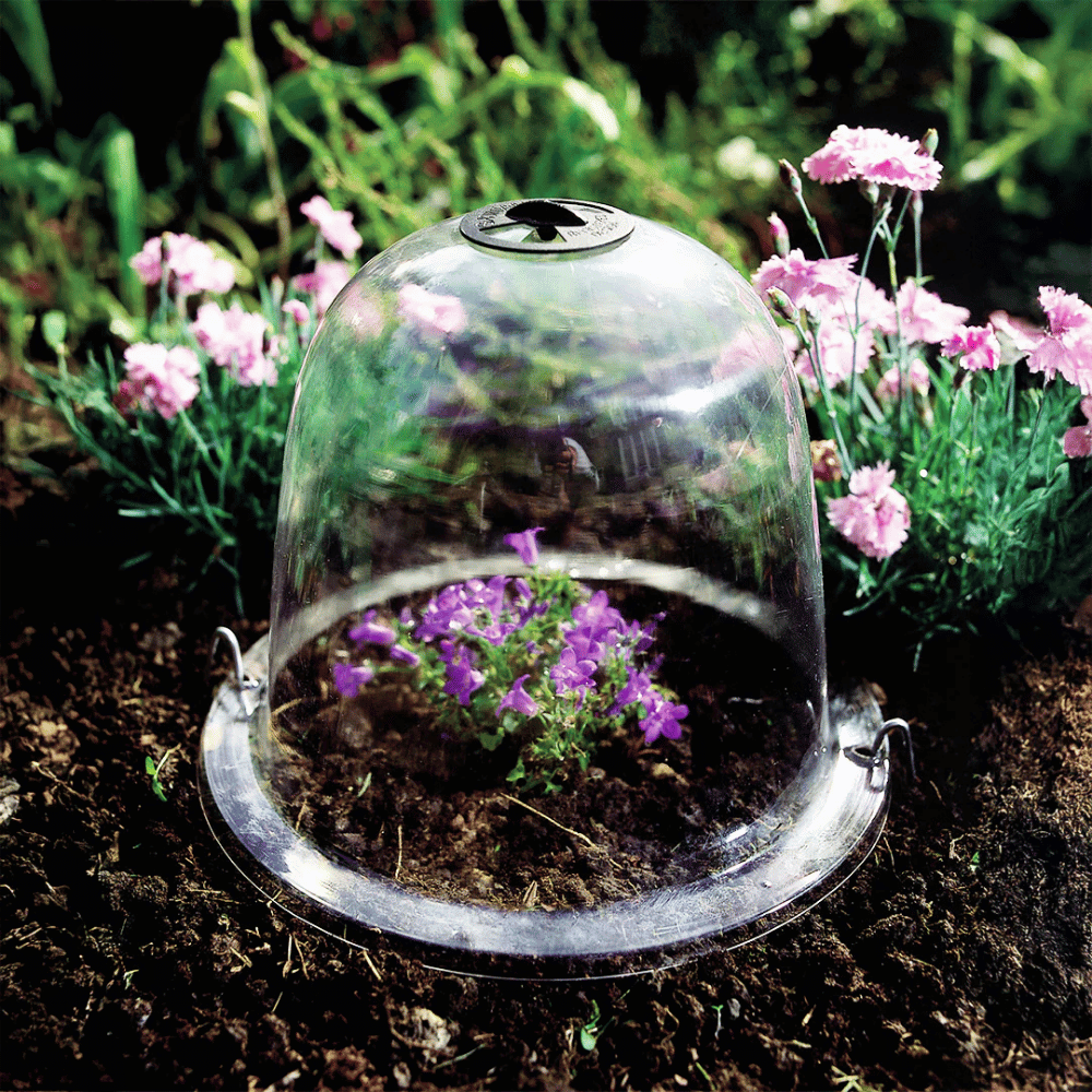 plant pot cloches 3-Pack Baby Victorian Garden Bell Cloche – Gardening Naturally