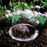 Baby Victorian Garden Bell Cloche (Pack of 3)