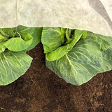 Biofleece - Frost protection Netting for Plants