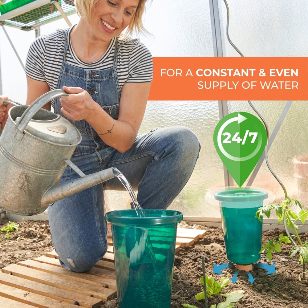 clay watering spikes with cups in greenhouse