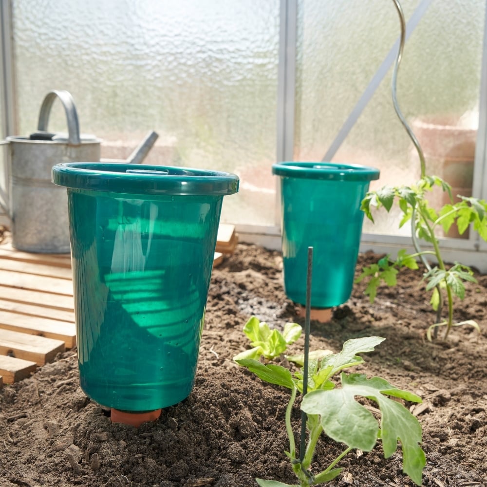 clay watering spikes with cups for automatic watering