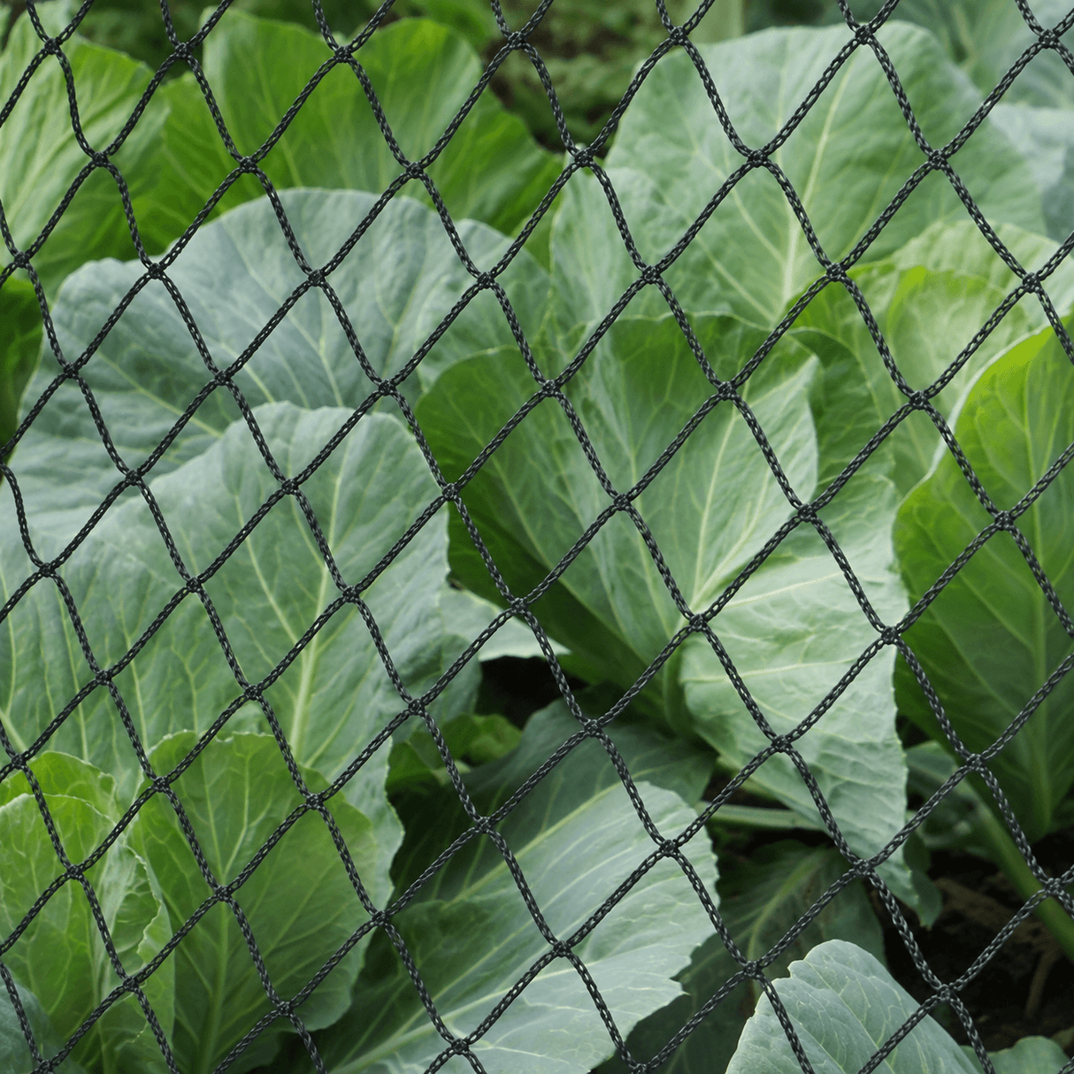 Netting and Fleece Covers For Green Hoop Tunnels