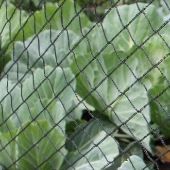 Netting and Fleece Covers For Green Hoop Tunnels