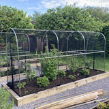 Fruit cage on raised bed with plants growing In a garden