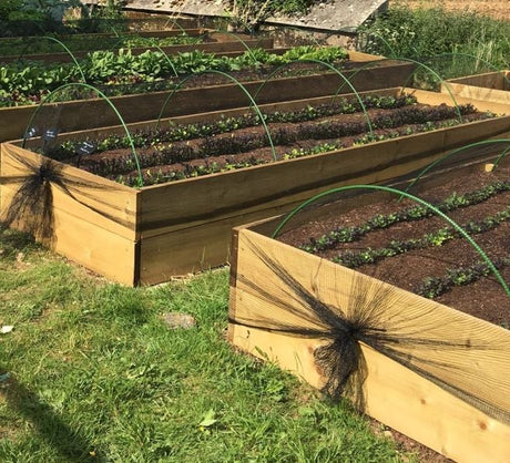A garden with flexible tunnels covered in butterfly netting, designed to protect plants.