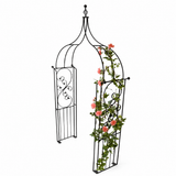 Decorative metal garden arch with climbing plants on a white background